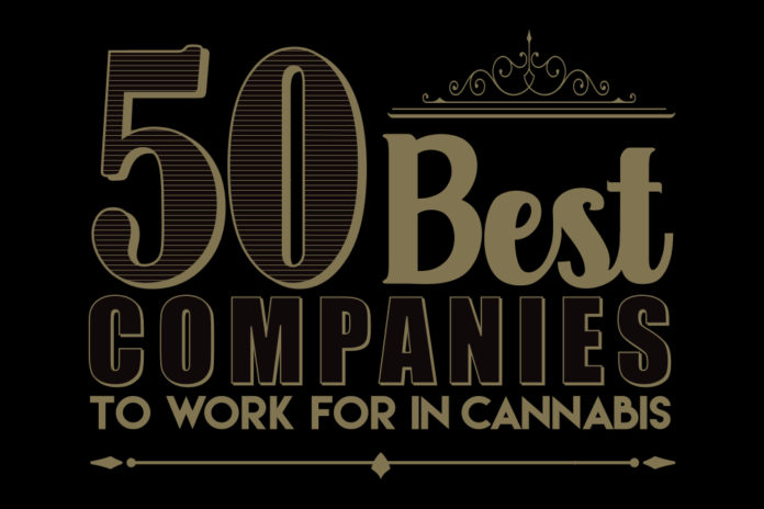 Mg Magazine 50 Best Cannabis Companies To Work For