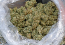 6 Automated Industrial Cannabis Trimmers for Your Grow auto trimmers mg retailer.jpg