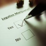 Cannabis on the Ballot: What the Election Results Mean For Residents and Businesses