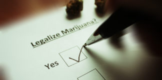 Cannabis on the Ballot: What the Election Results Mean For Residents and Businesses