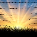 Border Wall? Cannabis Legalization Could Actually be the Best way to Reduce Flow of Illegal Drugs Border Wall legalization cannabis mg retailer