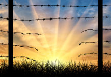 Border Wall? Cannabis Legalization Could Actually be the Best way to Reduce Flow of Illegal Drugs Border Wall legalization cannabis mg retailer