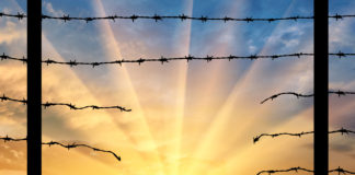 Border Wall? Cannabis Legalization Could Actually be the Best way to Reduce Flow of Illegal Drugs Border Wall legalization cannabis mg retailer