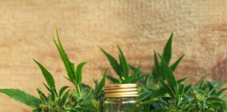 The Farm Bill Legalized Hemp. Don’t Celebrate Just Yet. CBD hemp legalization mg magazine