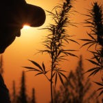 Cannabis Industry Comments on Passage of 2018 Farm Bill Farm Bill Hemp mgretailer