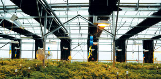 Three High-Tech Ways to Improve Your Grow World of a Weed mg magazine