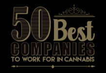 50 Best Companies to Work for in Cannabis Text graphic of the 50 best companies to work for in cannabis