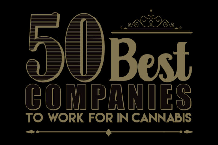 Text graphic of the 50 best companies to work for in cannabis