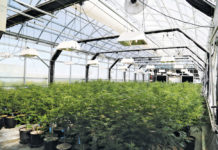 3 Ways to Winterize Your Greenhouse 3 Ways to Improve Heating