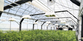 3 Ways to Winterize Your Greenhouse 3 Ways to Improve Heating