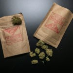 Florida Could be on the Verge of a Major Expansion of the Cannabis Industry Florida cannabis flower mg retailer.jpg