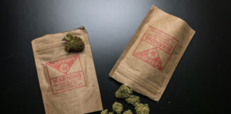 Florida Could be on the Verge of a Major Expansion of the Cannabis Industry Florida cannabis flower mg retailer.jpg