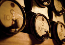 Ionic Is Changing the Face of Cannabis and Creating a Social Revolution IONIC barrels mg magazine