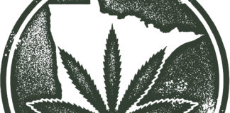New Market Coming Online? Minn. Legislatures Introduce Cannabis Bills Minnesota cannabis legalization mg retailer e1548797900834