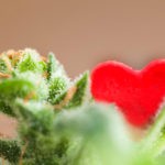 4 Infused Valentine’s Day Gifts Your Customers Will Want Valentines Day cannabis products mg retailer