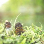 Michigan Representative Clarifies Legality of CBD cbd michigan legal mg retailer.jpeg