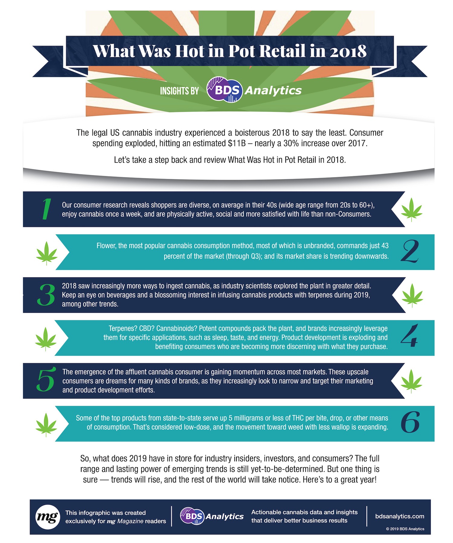 What Was Hot in Pot Retail in 2018? (Infographic)