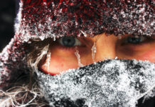 7 CBD Skincare Brands for Dry Winter Skin