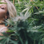 7 Cannabis-Infused Valentine’s Ideas for Sexy People Cannabis sexy Valentines mgretailer