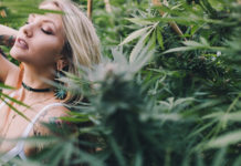 7 Cannabis-Infused Valentine’s Ideas for Sexy People Cannabis sexy Valentines mgretailer