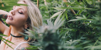 7 Cannabis-Infused Valentine’s Ideas for Sexy People Cannabis sexy Valentines mgretailer