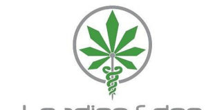 Study by Tioga Research Supports Efficacy of Liposomal Compound Silvidiol Leading Edge Pharms mg magazine