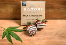 Ruth Epstein, Partner at BGP Advisors, Recommends Favorite Cannabis Products Satori Chocolate covered Strawberries mg Magazine 2