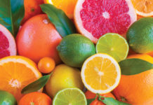 The Nose Knows: Sniffing Out the Scents of Wellness citrus mg magazine