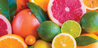 The Nose Knows: Sniffing Out the Scents of Wellness citrus mg magazine