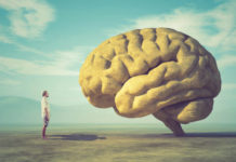 Making the Message Memorable: Marketing Tips for a Highly Regulated Industry creative brain mg magazine 696x522