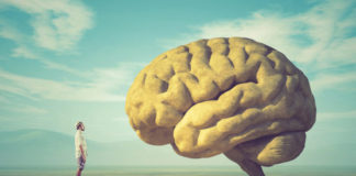 Making the Message Memorable: Marketing Tips for a Highly Regulated Industry creative brain mg magazine 696x522