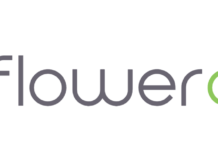 Flower One Launches Veteran Created and Inspired Brand, Kuno flowerone logo white background flower one in lowercase letters flower in black one in lime green to the left of the words is a plant with two green leaves and one blue