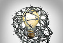 Challenging and Enforcing Canna-Patents protect idea mg magazine