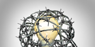 Challenging and Enforcing Canna-Patents protect idea mg magazine