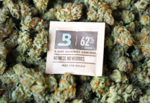 Boveda Is Perfecting Humidity, One Packet at a Time Boveda 4 cannabis mg magazine