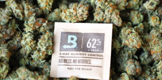 Boveda Is Perfecting Humidity, One Packet at a Time Boveda 4 cannabis mg magazine