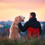 3 Reasons Why Owners Give CBD to Their Pets CBD-for-pets-mg-Magazine-photo-by-Jaromir-Chalabala