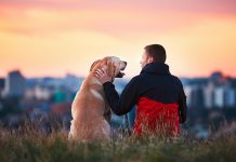 3 Reasons Why Owners Give CBD to Their Pets CBD-for-pets-mg-Magazine-photo-by-Jaromir-Chalabala