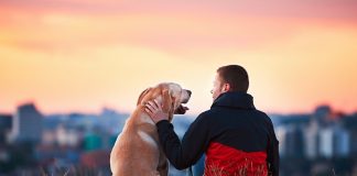 3 Reasons Why Owners Give CBD to Their Pets CBD-for-pets-mg-Magazine-photo-by-Jaromir-Chalabala