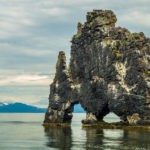 2019: A Year of Trolling, Tipping Points, and Trump Hvitserkur the troll rock mg Magazine