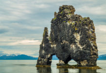 2019: A Year of Trolling, Tipping Points, and Trump Hvitserkur the troll rock mg Magazine