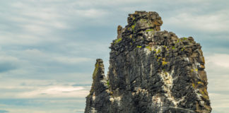 2019: A Year of Trolling, Tipping Points, and Trump Hvitserkur the troll rock mg Magazine