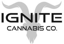ignite logo mg magazine