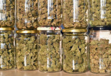 4/20 Cultivated Huge Sales for Cannabis Dispensaries in 2019 420 Sales mgretailer