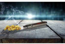 Atmos Electro Dabber Multi-Function Vaporizer Atmos Electric Dabber mg magazine