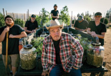 10 Cannabis-Friendly Celebrity Instagrams to Follow in 2019 Jim Belushi Truck mg magazine