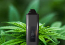 Lifespot Health Medihale Lifespot Health Seng Vital mg magazine