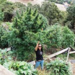 Overcoming Stigma: Sun-Grown Farmers Are Spreading Their Wings Moon Made Farms mg magazine