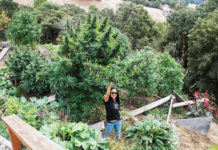 Overcoming Stigma: Sun-Grown Farmers Are Spreading Their Wings Moon Made Farms mg magazine