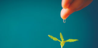 Optimizing These Two Factors Ensures Superior Cannabis Growth Water Plant Soil SS 1055097341 C mg magazine